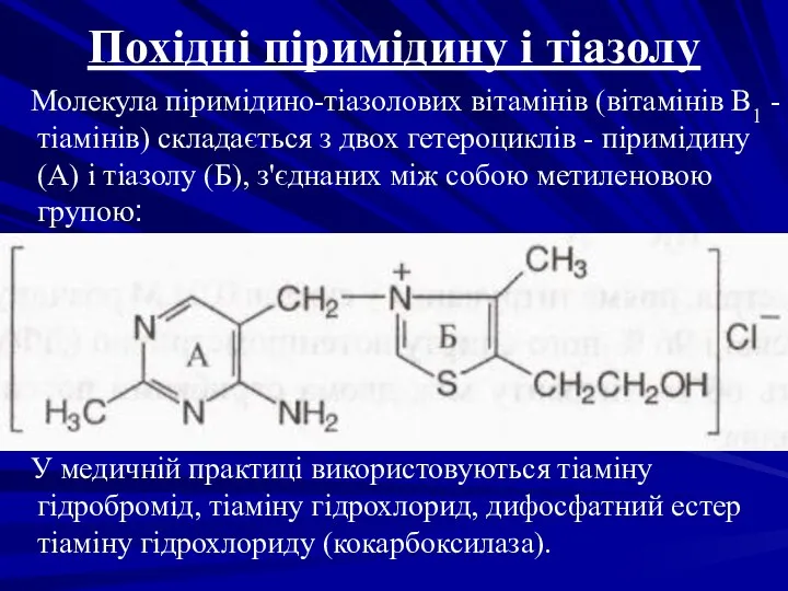 Похідні піримідину і тіазолу Молекула піримідино-тіазолових вітамінів (вітамінів В1 -