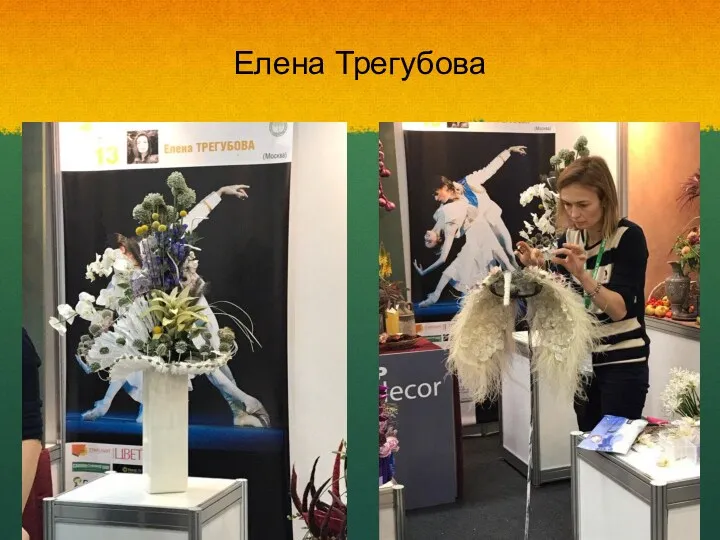 Елена Трегубова