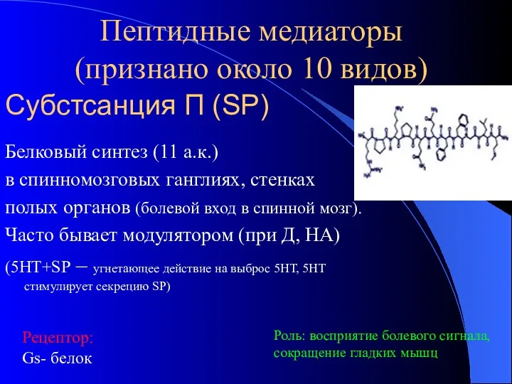 Субстсанция П (SP) Белковый синтез (11 а.к.) в спинномозговых ганглиях,