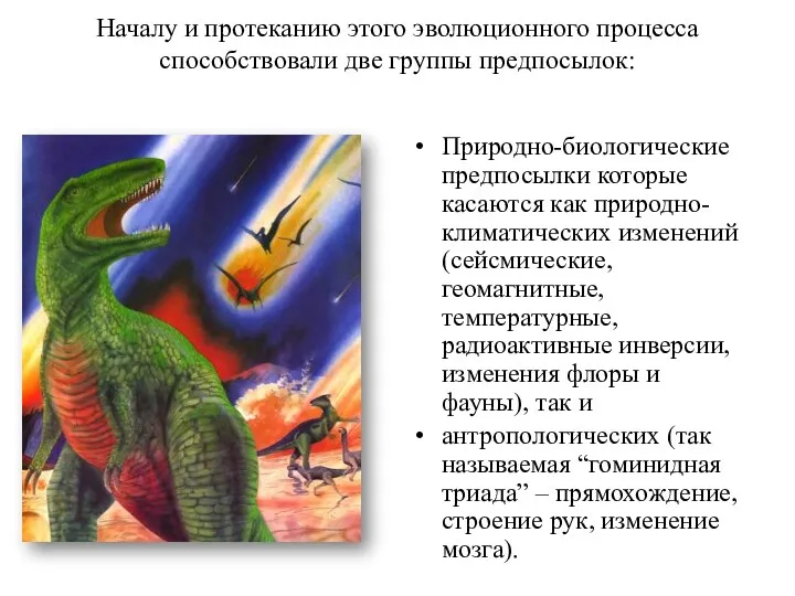 Началу и протеканию этого эволюционного процесса способствовали две группы предпосылок: