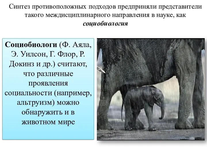 Синтез противоположных подходов предприняли представители такого междисциплинарного направления в науке,