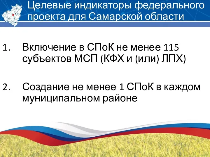 Целевые индикаторы федерального проекта для Самарской области Включение в СПоК не менее 115