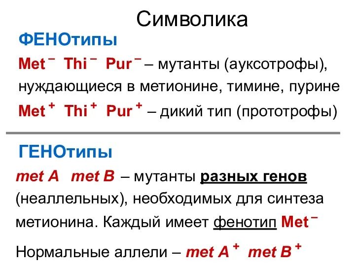 Символика Met + Thi + Pur + – дикий тип