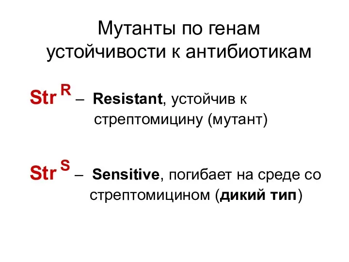 Str R – Resistant, устойчив к стрептомицину (мутант) Мутанты по