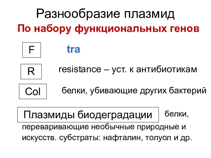 Разнообразие плазмид tra F R resistance – уст. к антибиотикам