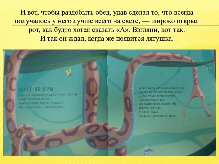 И вот, чтобы раздобыть обед, удав сделал то, что всегда получалось у него