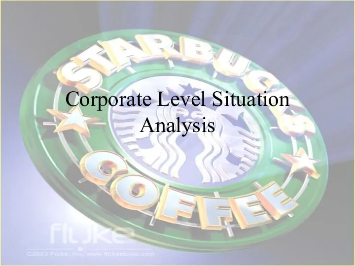 Corporate Level Situation Analysis