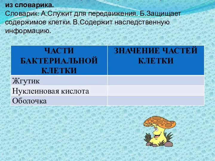 Б3.Заполните таблицу, используя слова и предложения из словарика. Словарик: А.Служит для передвижения. Б.Защищает