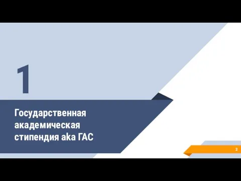 Государственная академическая стипендия aka ГАС 1