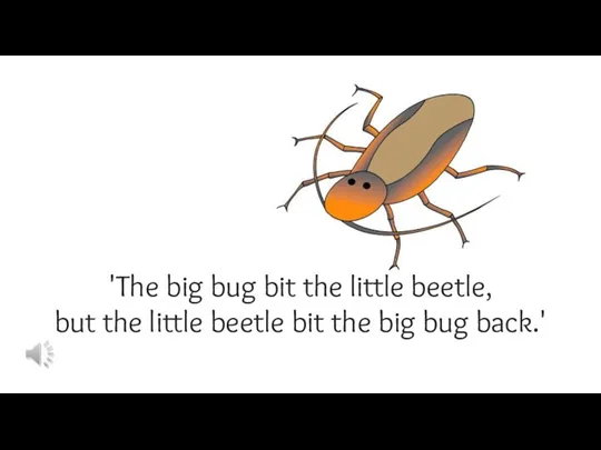 'The big bug bit the little beetle, but the little beetle bit the big bug back.'