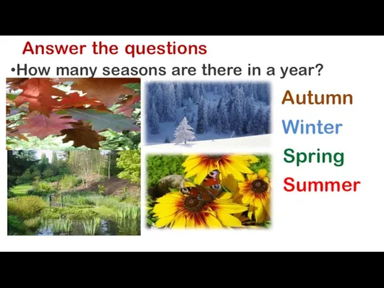 Answer the questions How many seasons are there in a