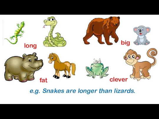 long big fat clever e.g. Snakes are longer than lizards.