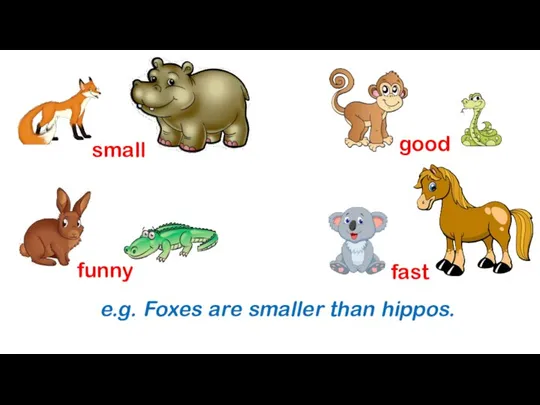 small good funny fast e.g. Foxes are smaller than hippos.