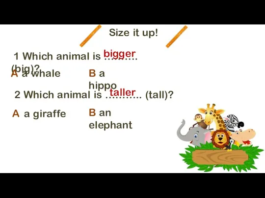 Size it up! 1 Which animal is ………. (big)? a