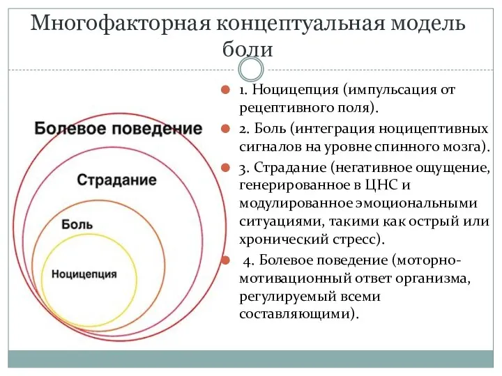 Многофакторная концептуальная модель боли 1. Ноцицепция (импульсация от рецептивного поля).