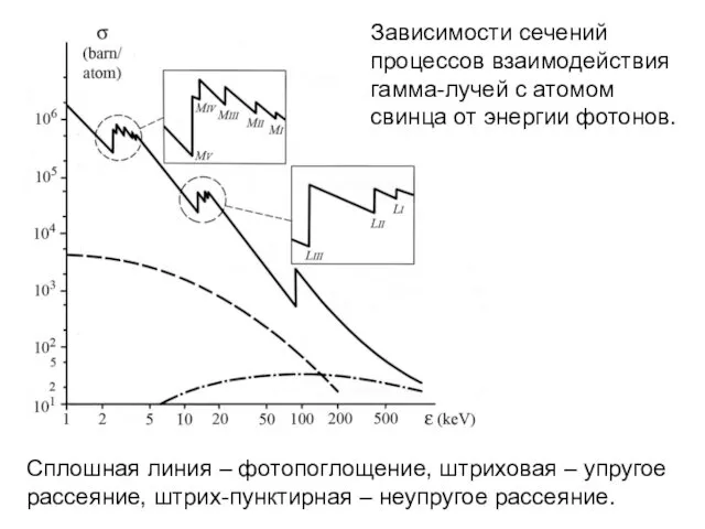 Сплошная линия – фотопоглощение, штриховая – упругое рассеяние, штрих-пунктирная –