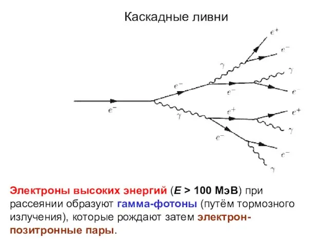 Каскадные ливни Электроны высоких энергий (E > 100 МэВ) при