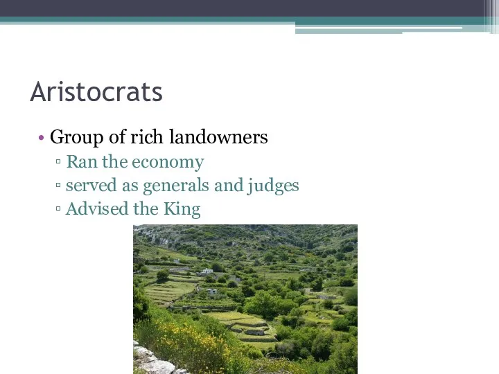 Aristocrats Group of rich landowners Ran the economy served as generals and judges Advised the King