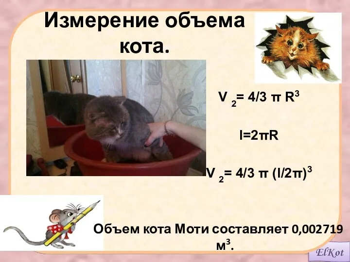 Измерение объема кота. Объем кота Моти составляет 0,002719 м3. V