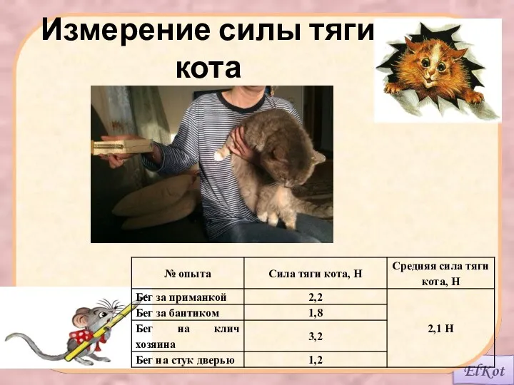 Измерение силы тяги кота