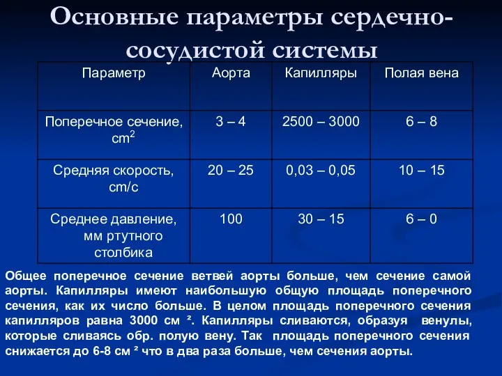 Основные параметры сердечно-сосудистой системы Общее поперечное сечение ветвей аорты больше,