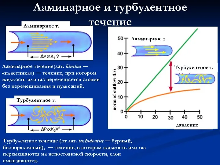 Ламинарное и турбулентное течение Ламинарное течение(лат. lāmina — «пластинка») —