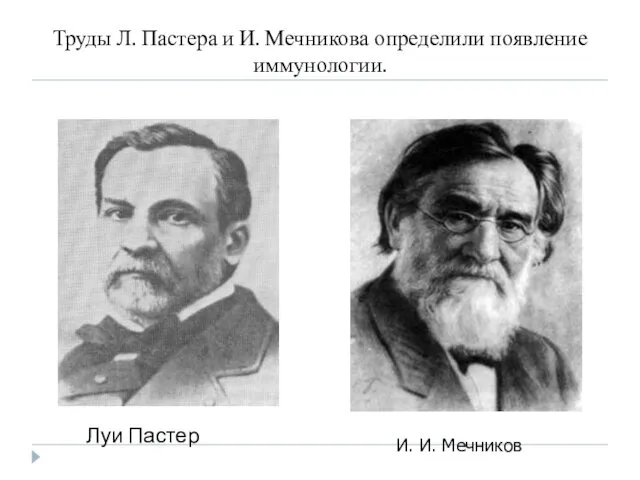 Труды Л. Пастера и И. Мечникова определили появление иммунологии. Луи Пастер И. И. Мечников