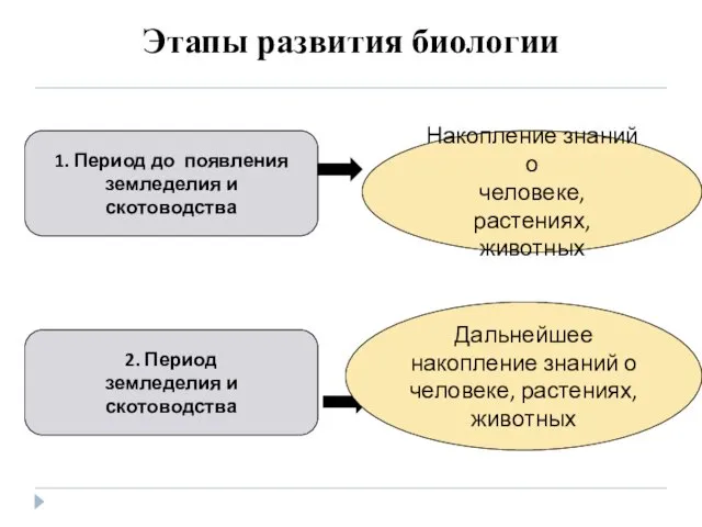 Этапы развития биологии 1. Период до появления земледелия и скотоводства