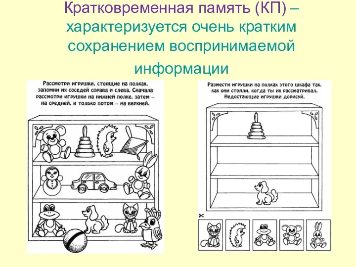 Кратковременная память (КП) – характеризуется очень кратким сохранением воспринимаемой информации