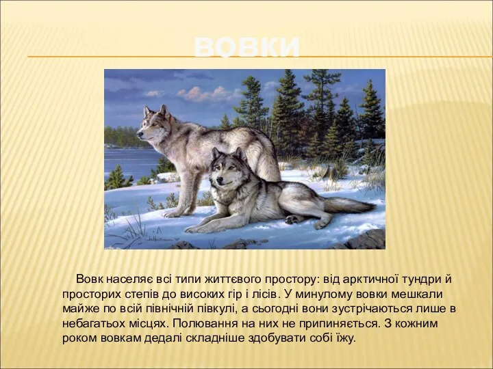 вовки Вовк населяє всі типи життєвого простору: від арктичної тундри