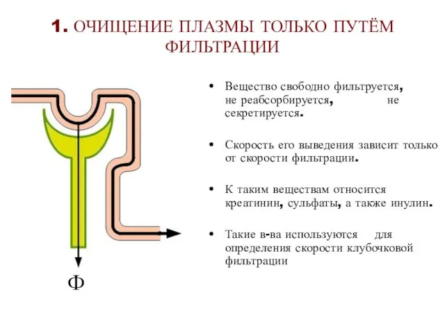 1. ОЧИЩЕНИЕ ПЛАЗМЫ ТОЛЬКО ПУТЁМ ФИЛЬТРАЦИИ Вещество свободно фильтруется, не