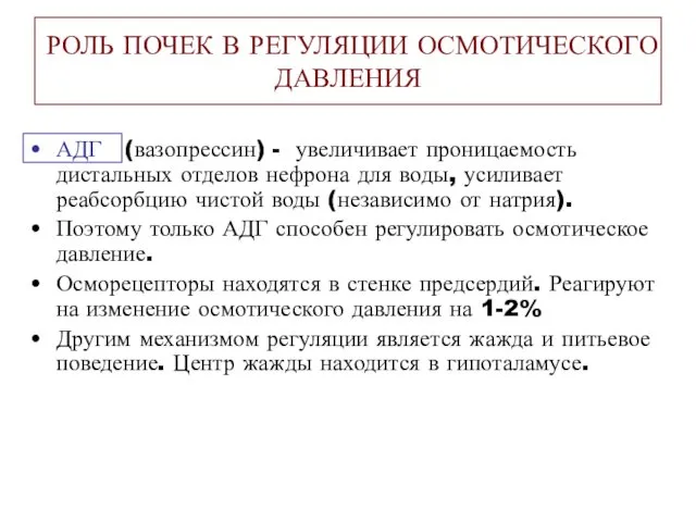 АДГ (вазопрессин) - увеличивает проницаемость дистальных отделов нефрона для воды, усиливает реабсорбцию чистой