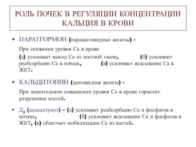 РОЛЬ ПОЧЕК В РЕГУЛЯЦИИ КОНЦЕНТРАЦИИ КАЛЬЦИЯ В КРОВИ ПАРАТГОРМОН (паращитовидные железы) - При