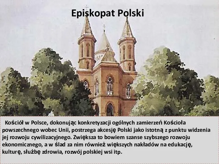 Episkopat Polski Kościół w Polsce, dokonując konkretyzacji ogólnych zamierzeń Kościoła