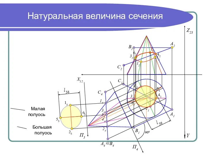 Натуральная величина сечения Большая полуось Малая полуось