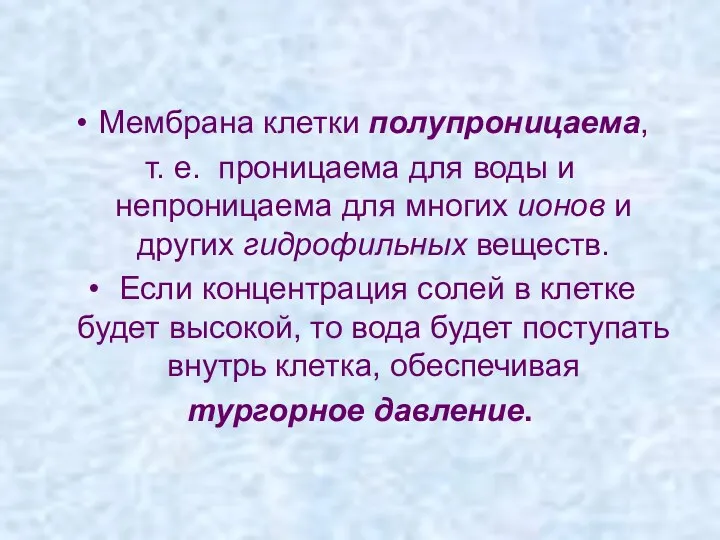 Мембрана клетки полупроницаема, т. е. проницаема для воды и непроницаема для многих ионов