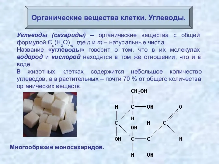 Органические вещества клетки. Углеводы. Углеводы (сахариды) – органические вещества с