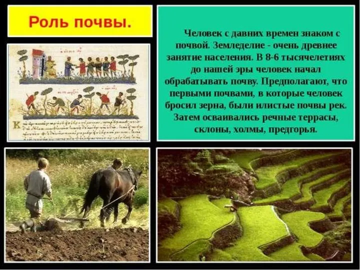 ПЛАН УРОКА Почва – преобразованная часть литосферы. Зональные системы почв Разнообразие почв России