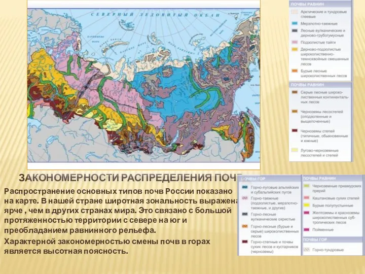 ЗАКОНОМЕРНОСТИ РАСПРЕДЕЛЕНИЯ ПОЧВ Распространение основных типов почв России показано на карте. В нашей