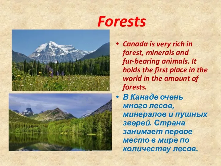 Forests Canada is very rich in forest, minerals and fur-bearing