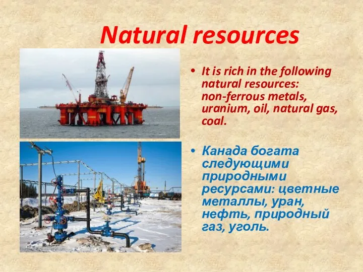 Natural resources It is rich in the following natural resources: