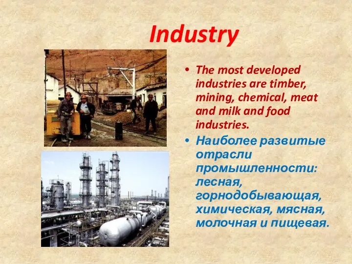 Industry The most developed industries are timber, mining, chemical, meat