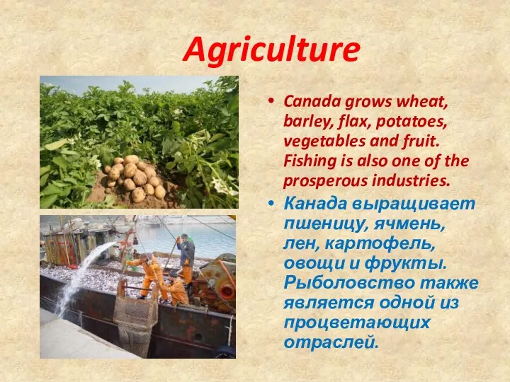 Agriculture Canada grows wheat, barley, flax, potatoes, vegetables and fruit.