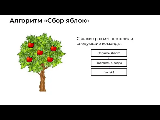 Алгоритм «Сбор яблок» Сколько раз мы повторили следующие команды: