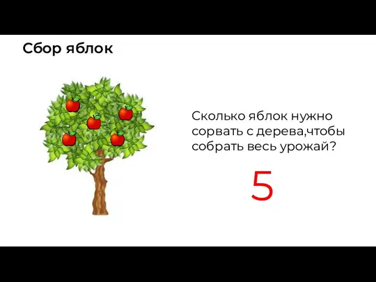 Сбор яблок Сколько яблок нужно сорвать с дерева,чтобы собрать весь урожай? 5