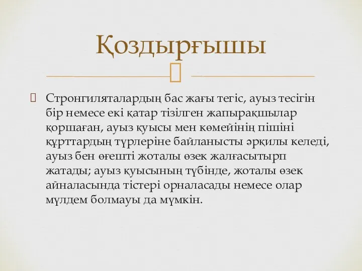 Стронгиляталардың бас жағы тегіс, ауыз тесігін бір немесе екі қатар