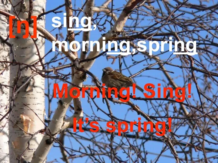 [ŋ] sing, morning,spring Morning! Sing! It’s spring!