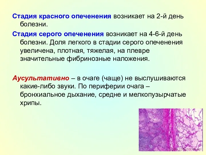 Стадия красного опеченения возникает на 2-й день болезни. Стадия серого