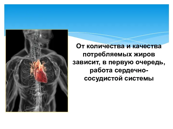 От количества и качества потребляемых жиров зависит, в первую очередь, работа сердечно-сосудистой системы