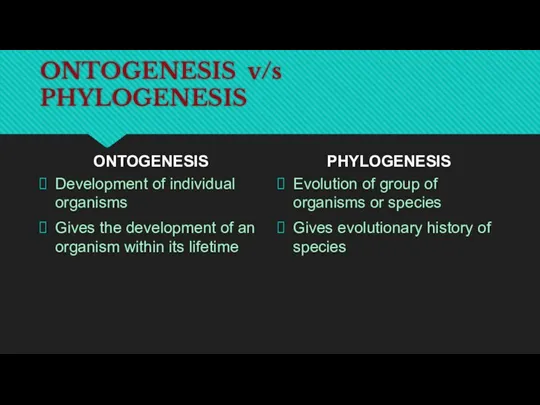 ONTOGENESIS v/s PHYLOGENESIS ONTOGENESIS Development of individual organisms Gives the development of an